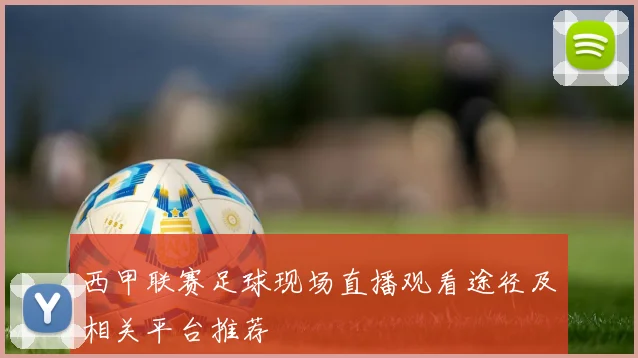 西甲联赛足球现场直播观看途径及相关平台推荐